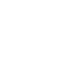 Language
